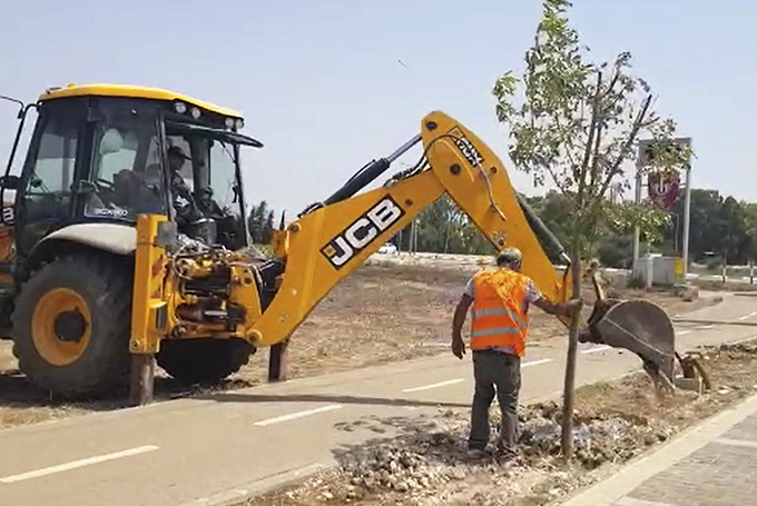 עפולה: כאלף עצים נשתלו בשנת 2021